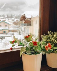 a view at a a snowy village 